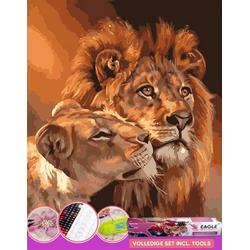 Leeuwen - Leeuw | Diamond Painting Pakket 40x30cm | Eagle Arts